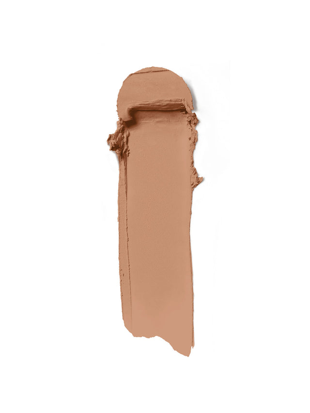 Skin Rewind Complexion Stick - Elm 25N