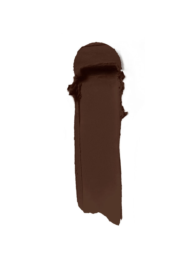 Skin Rewind Complexion Stick - Cocobolo 41W